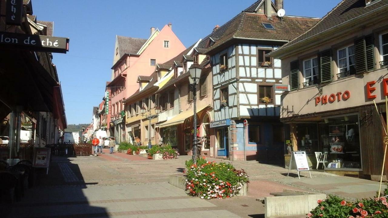 萨维尔纳Maison Bleue公寓 外观 照片